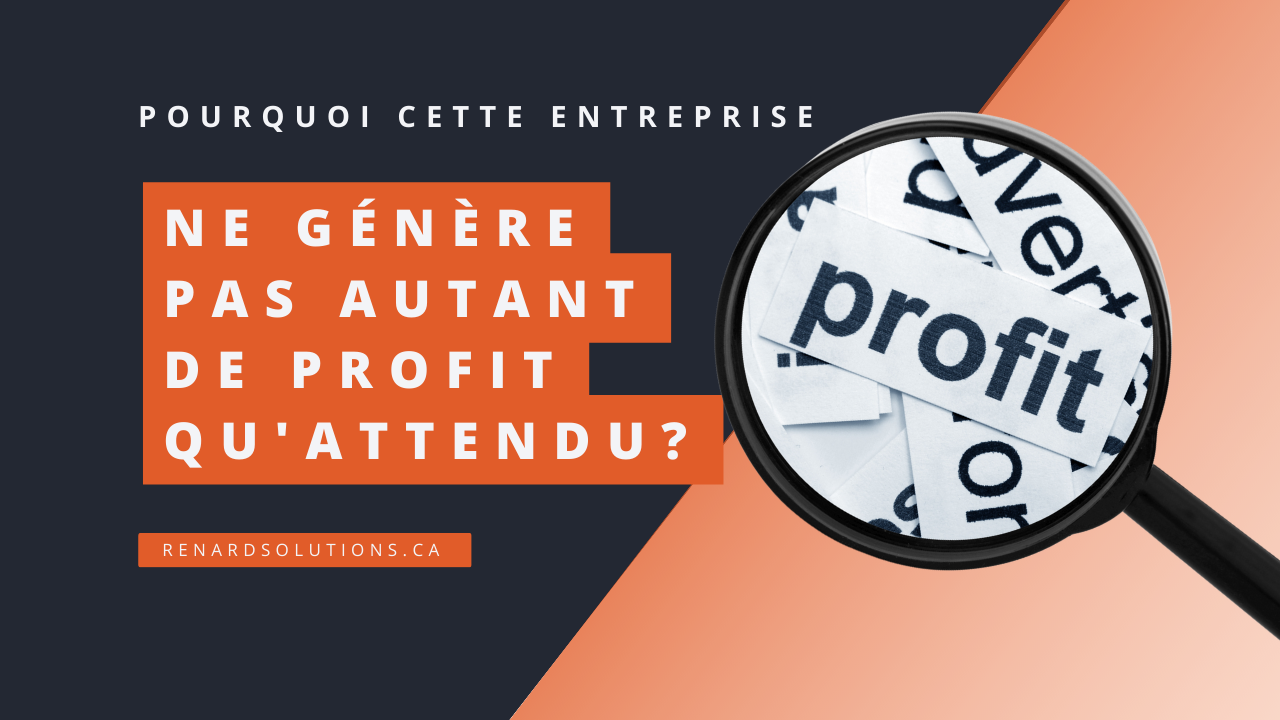 Pourquoi cette entreprise ne génère pas le profit attendu?